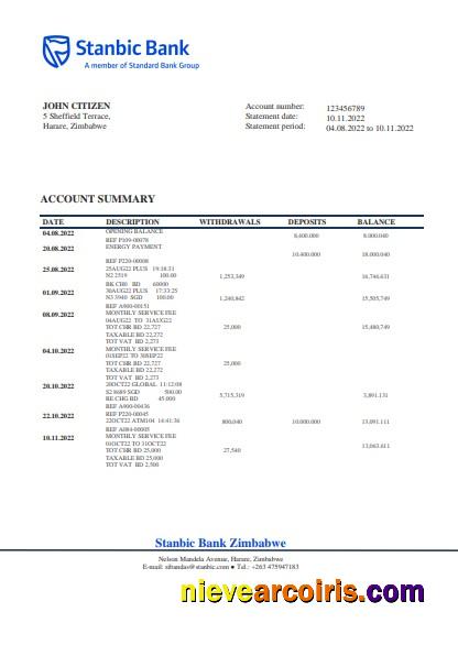 Zimbabwe Stanbic Bank statement in Word and PDF format